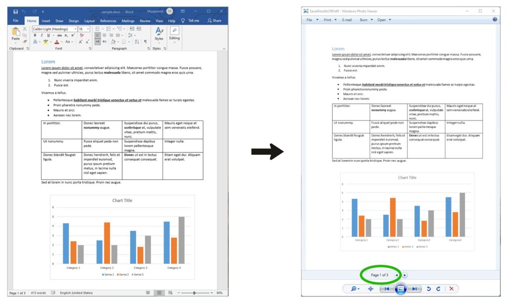 Konvertieren Sie Word-Dokumente in C# in TIFF.